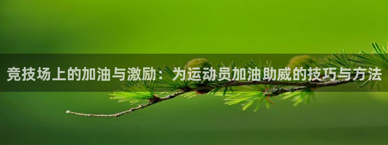 betway西汉姆：竞技场上的加油与激励：为运动员加油助威的技巧与方法