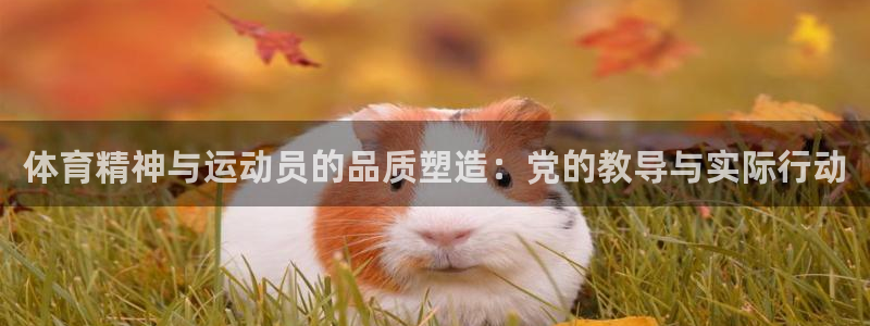 betway西汉姆：体育精神与运动员的品质塑造：党的教导与实际行动