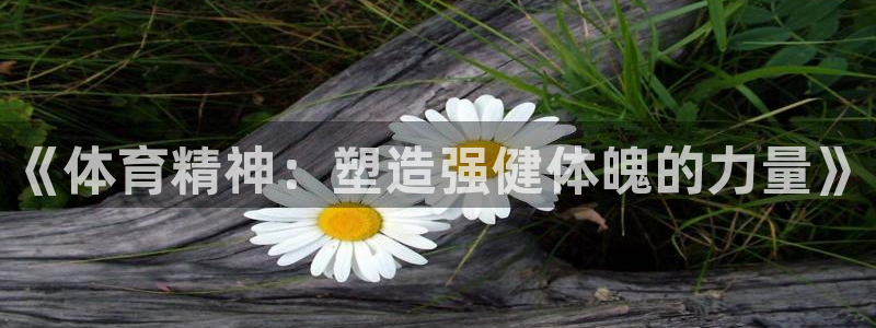 betway西汉姆：《体育精神：塑造强健体魄的力量》