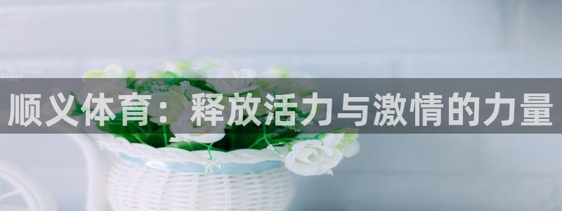 betway西汉姆：顺义体育：释放活力与激情的力量