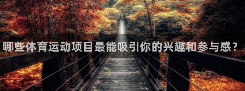 betway西汉姆：哪些体育运动项目最能吸引你的兴趣和参与感？
