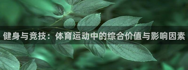 betway西汉姆官网：健身与竞技：体育运动中的综合价值与影响因素