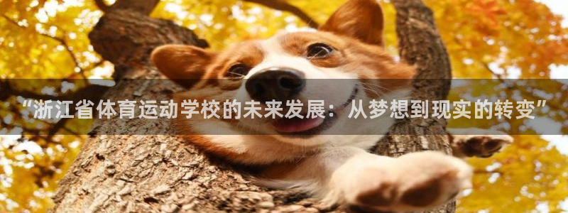 betway西汉姆：“浙江省体育运动学校的未来发展：从梦想到现实的转变”