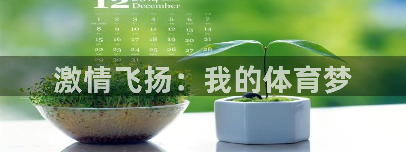 必威betway西汉姆联：激情飞扬：我的体育梦