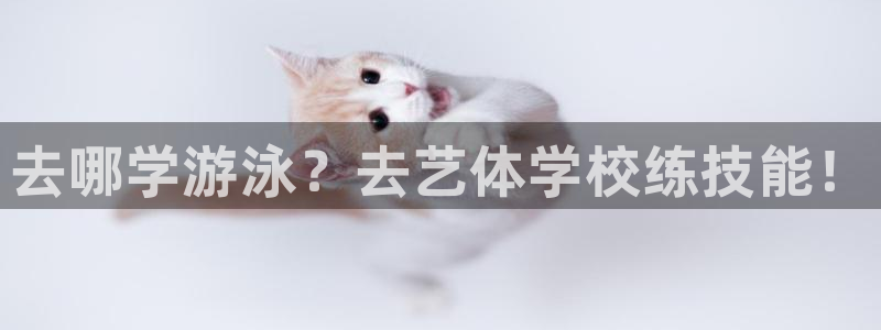betway西汉姆官网：去哪学游泳？去艺体学校练技能！