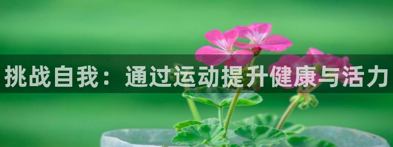 betway西汉姆：挑战自我：通过运动提升健康与活力