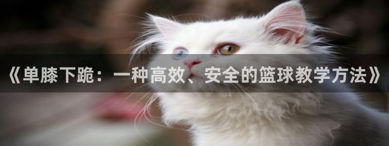 betway西汉姆联官网：《单膝下跪：一种高效、安全的篮球教学方法》