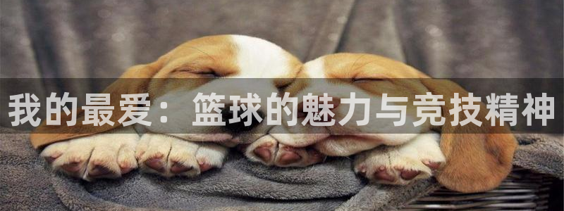 必威betway西汉姆联：我的最爱：篮球的魅力与竞技精神