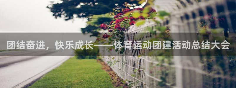 betway西汉姆：团结奋进，快乐成长——体育运动团建活动总结大会