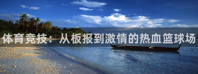 betway西汉姆官网：体育竞技：从板报到激情的热血篮球场