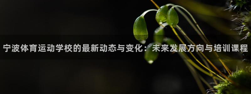 必威betway西汉姆联：宁波体育运动学校的最新动态与变化：未来发展方向与培训课程