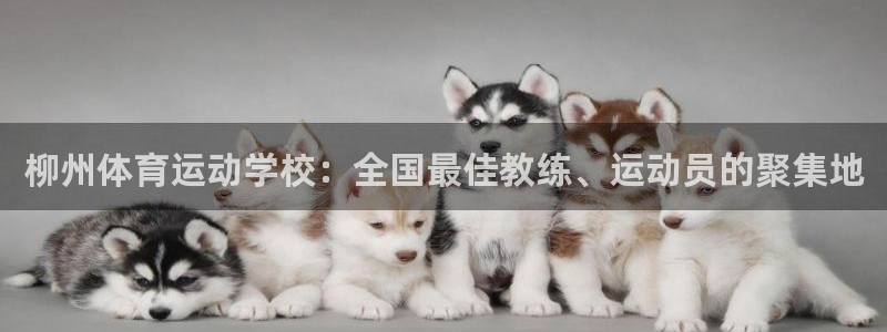 betway西汉姆：柳州体育运动学校：全国最佳教练、运动员的聚集地