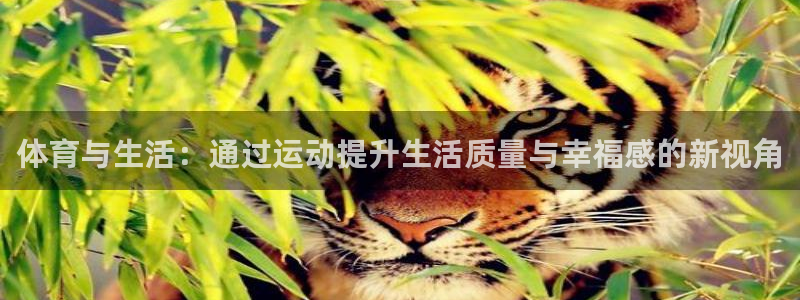 betway西汉姆：体育与生活：通过运动提升生活质量与幸福感的新视角