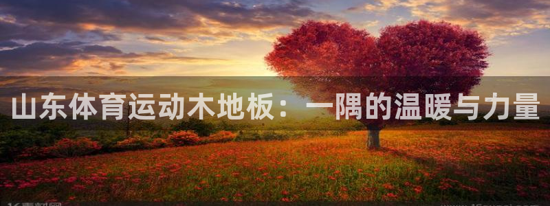 betway西汉姆官网：山东体育运动木地板：一隅的温暖与力量