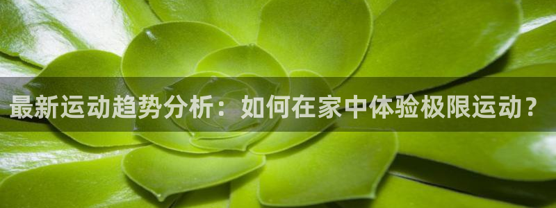 必威betway西汉姆联：最新运动趋势分析：如何在家中体验极限运动？