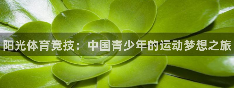 betway西汉姆联：阳光体育竞技：中国青少年的运动梦想之旅