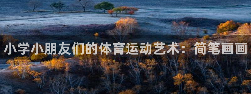 betway西汉姆：小学小朋友们的体育运动艺术：简笔画画