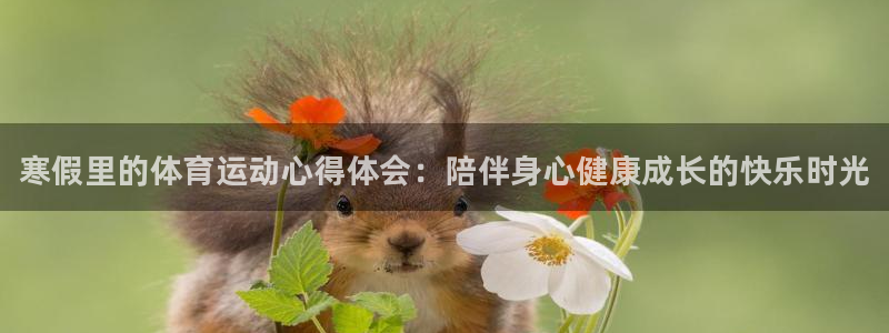 betway西汉姆：寒假里的体育运动心得体会：陪伴身心健康成长的快乐时光